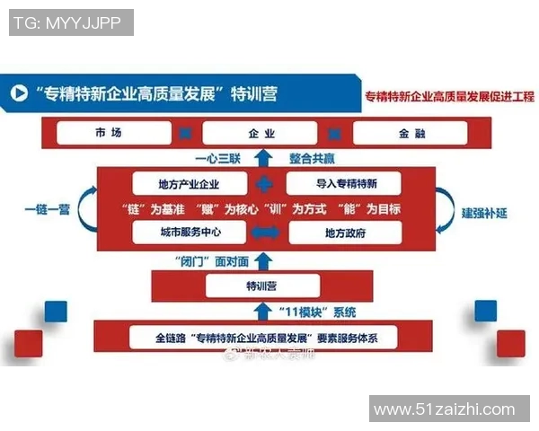 以推动高质量发展为目标的创新驱动战略与可持续发展路径探索