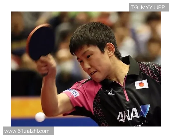 日本体育大学：打造体育精英培养新高地，推动全民健身与竞技水平双提升