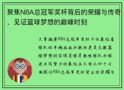聚焦NBA总冠军奖杯背后的荣耀与传奇，见证篮球梦想的巅峰时刻