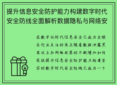 提升信息安全防护能力构建数字时代安全防线全面解析数据隐私与网络安全防护技术